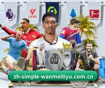 完美体育企业门户 APP
